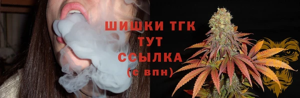 прущие грибы Алексеевка