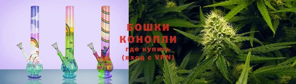 прущие грибы Алексеевка