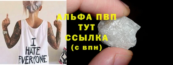 СК Алексин