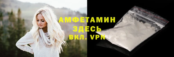 СК Алексин