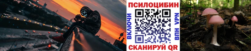 Псилоцибиновые грибы GOLDEN TEACHER  наркотики  Алупка 
